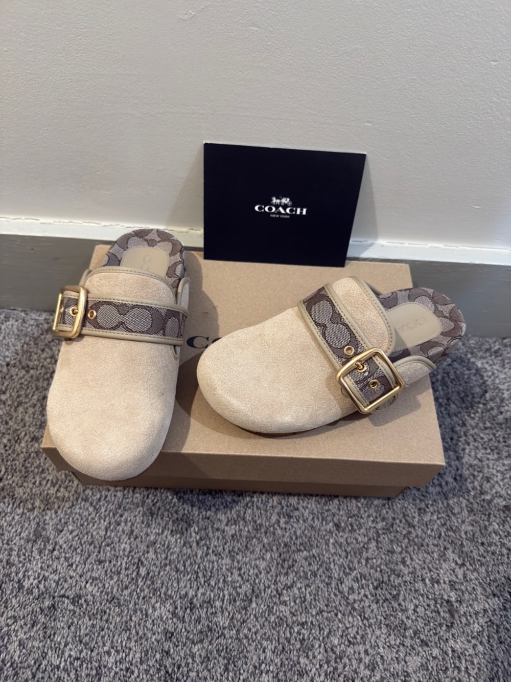 Coach Women’s Archival Buckle Clog, Suede, Color Oat, Size 5, NWT